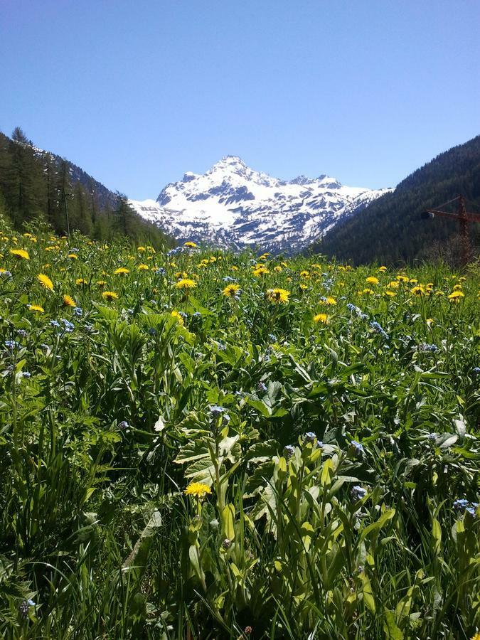 La Niche B&B La Thuile Dış mekan fotoğraf
